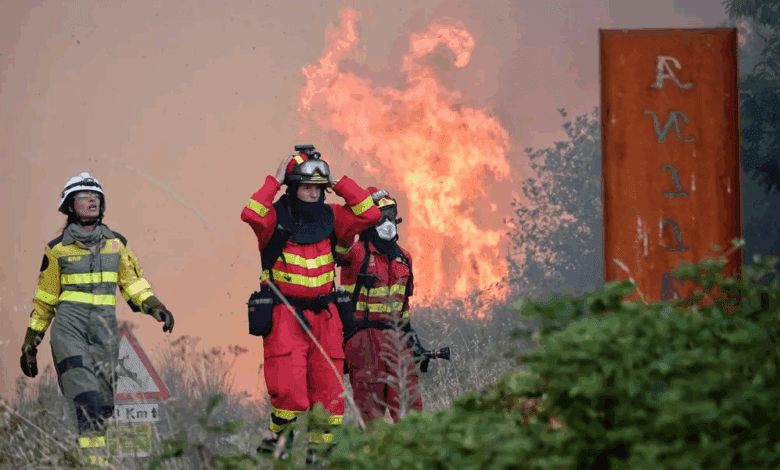Горять ліси, Іспанія